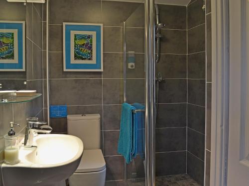 uma casa de banho com um chuveiro, um lavatório e um WC. em Wisteria Cottage em Skirpenbeck
