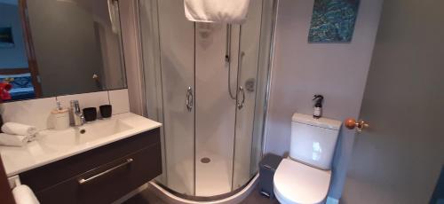 a bathroom with a shower and a toilet and a sink at Koutu Beach Bed and Breakfast in Rotorua