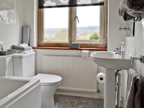 a bathroom with a toilet and a sink and a window at Violet Cottage in Dudbridge