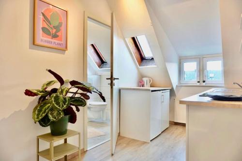 a bathroom with a toilet and a potted plant at NEU I moderne zentrale Wohnung I Netflix I 4 Gäste in Andernach