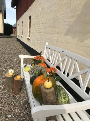 a bunch of pumpkins on a bench next to a building at Bremsmaj Farm Holiday in Kværs