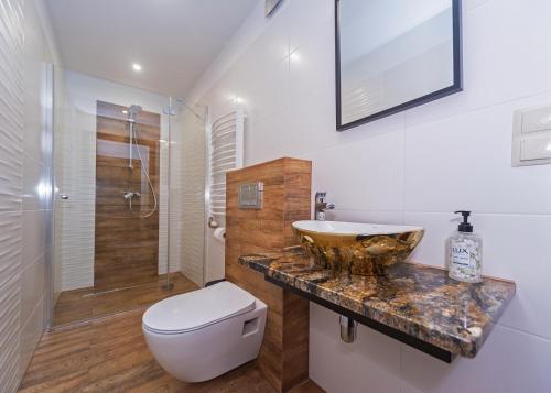 a bathroom with a sink and a toilet and a shower at Willa Bukowa in Brenna