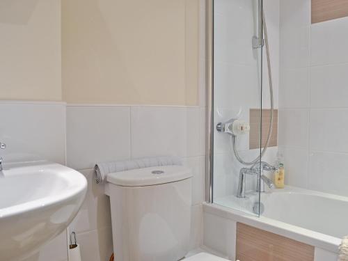 a bathroom with a toilet and a sink and a shower at Riverside Mews in Bideford