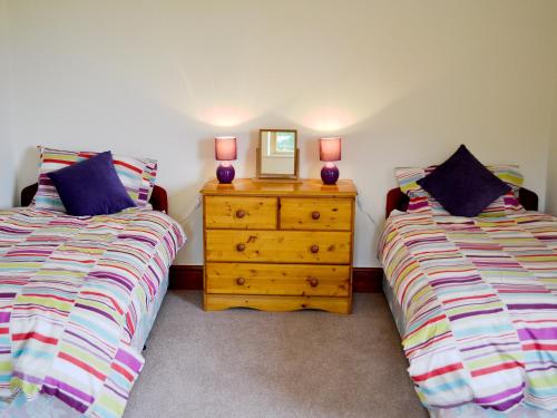 a bedroom with two beds and a dresser with a mirror at Greenmeadow Bungalow in Llanon
