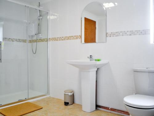 a bathroom with a shower and a sink and a toilet at Greenmeadow Bungalow in Llanon