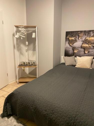 1 dormitorio con cama negra y espejo en Tolle Ferienwohnung im Herzen von Thüringen, en Eisenach