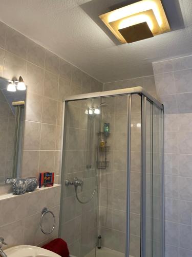 y baño con ducha con cabina de ducha de cristal. en Gemütliche Wohnung idyllische Lage Nähe Frankfurt en Alzenau in Unterfranken