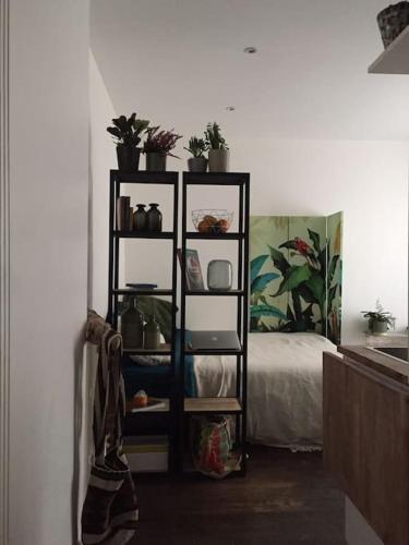 Cette chambre comprend une étagère avec des plantes et un lit. dans l'établissement Beautiful studio - 20' walking from Montmartre, à Paris
