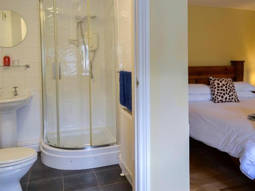 a bathroom with a shower and a toilet and a bed at White Dove Barn in Wembury