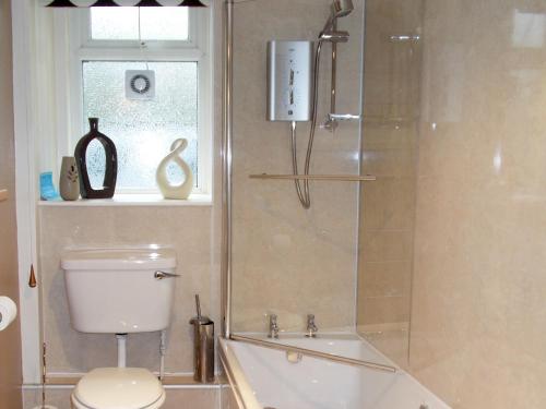 a bathroom with a shower with a toilet and a tub at Blaeberry Cottage - 28061 in Dinwoodie Mains