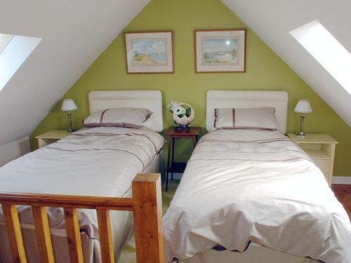 two beds in a attic room with green walls at Pant Y Bryn Bach in Cilycwm