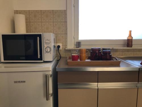 eine Mikrowelle auf einem Kühlschrank in der Küche in der Unterkunft Gasthuis 20 verdiep 2 in Kuurne