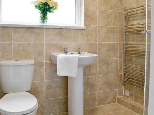 Saint CleerにあるTrevarno - B6527のバスルーム(トイレ、洗面台付)、窓が備わります。