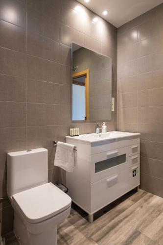 a bathroom with a toilet and a sink and a mirror at Erretola - Baskey Rentals in Aizarnazábal