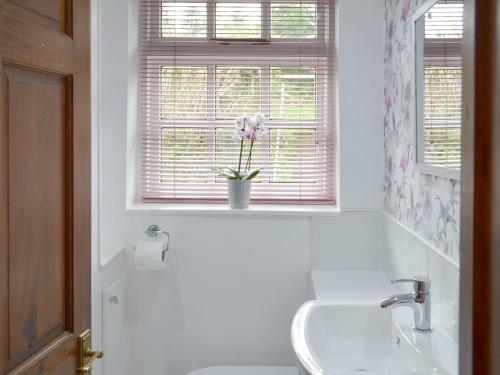 a bathroom with a sink and a flower in a window at The Berry - 15607 in Marldon