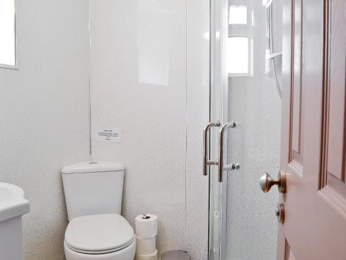 a small bathroom with a toilet and a shower at Owl Cottage in Llandeilo