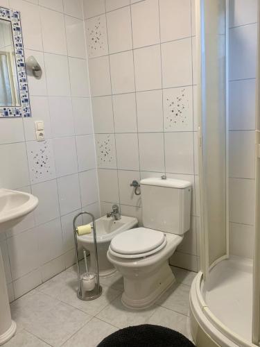 a bathroom with a toilet and a sink and a shower at Fun house in Zebanec-Selo
