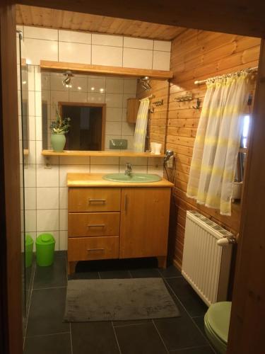 a bathroom with a sink and a mirror at Schreiner in Wernstein am Inn