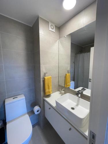 Ένα μπάνιο στο Pucón Apartment