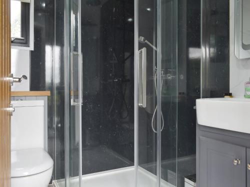 a bathroom with a glass shower and a toilet at Ponsford Ponds Jacks Shepherd Hut - Bcponhut in Cullompton