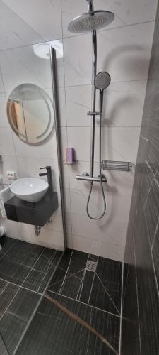 a bathroom with a sink and a mirror at Studio-Apartment ' Andrei 1 ' - Neu in Neuburg an der Donau in Neuburg an der Donau