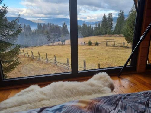 a bedroom with a large window with a view of a field at Cabana Corbilor The Raven's Hut in Vatra Dornei