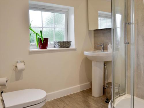 TremeirchionにあるTy Newydd Y Graig - 28017のバスルーム(トイレ、洗面台付)、窓が備わります。