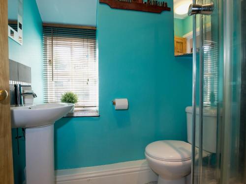 a blue bathroom with a toilet and a sink at Under Moor Cottage in Blaenau-Ffestiniog