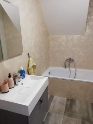 a bathroom with a tub and a sink and a bath tub at Penzion Zaječský šenk in Zaječí