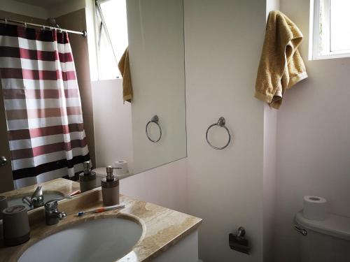 La salle de bains est pourvue d'un lavabo, d'un miroir et de toilettes. dans l'établissement Espectacular departamento amoblado en Algarrobo Norte, à San Antonio