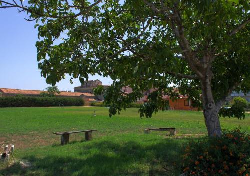 a park with a tree and benches in the grass at Agriturismo Il Gelsomino Ritrovato in Milazzo