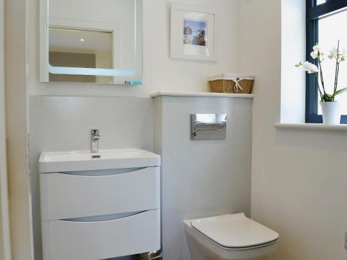 a bathroom with a toilet and a sink and a mirror at Bosuns in Port Isaac