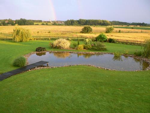 a pond in the middle of a green field at Agora in Foussemagne