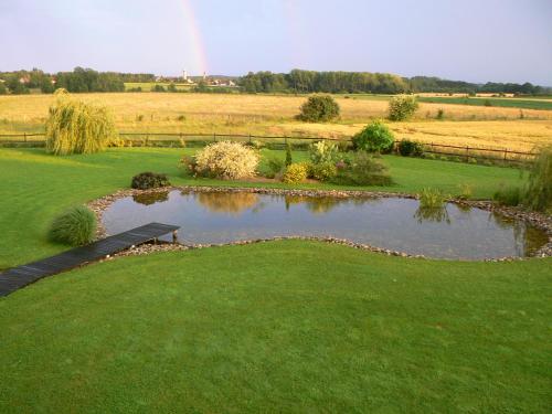 een vijver in het midden van een groen veld bij Agora in Foussemagne