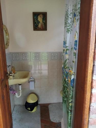 baño con lavabo y cortina de ducha en La Casa de los Patos, en Quito