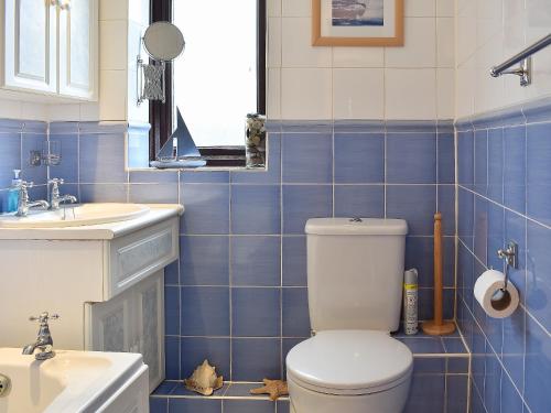 a blue tiled bathroom with a toilet and a sink at Eden Cottage in Cerne Abbas