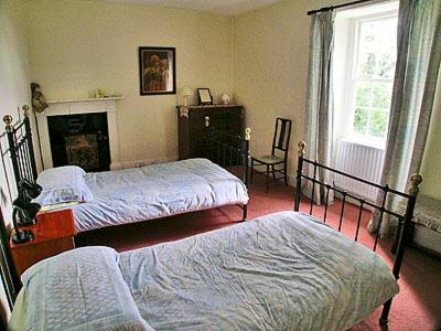 a bedroom with two beds and a fireplace at Low West in Hexham
