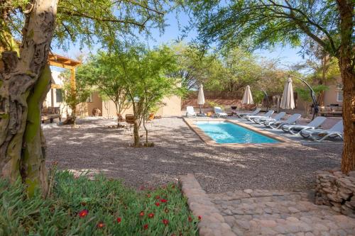 a swimming pool with lounge chairs and a tree at Casa Solcor Boutique Bed & Breakfast in San Pedro de Atacama