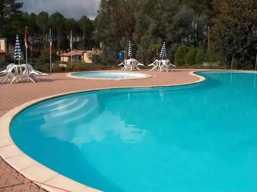 duży basen z trzema białymi zwierzętami na nim w obiekcie MAISON LANDES OCEAN w mieście Saint-Julien-en-Born