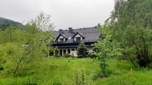 a house in the middle of a field with trees at Pokoje Gościnne Słotwińscy in Wetlina