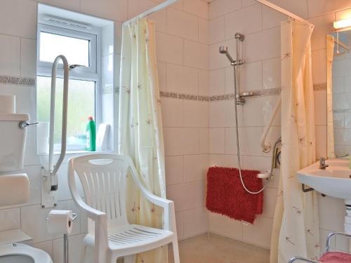 y baño con silla blanca y ducha. en Blackbird Cottage, en Llanfair Caereinion