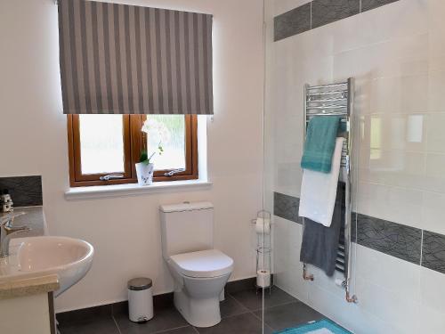 uma casa de banho com um WC, um lavatório e uma janela em Mountshade em Finzean
