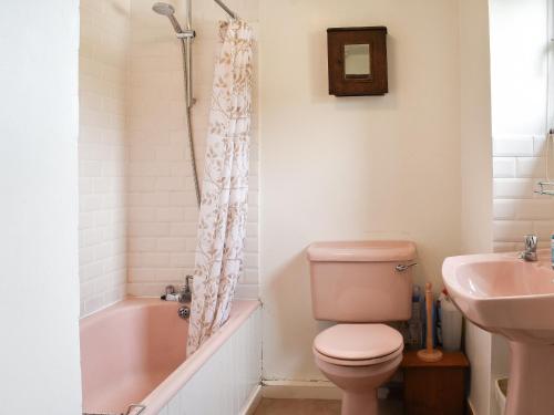 La salle de bains est pourvue de toilettes roses et d'un lavabo. dans l'établissement Stable Cottage, à Windermere