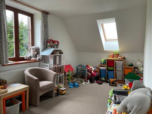 a room filled with lots of different types of toys at Penzion Pod Dratnikem in Svratka