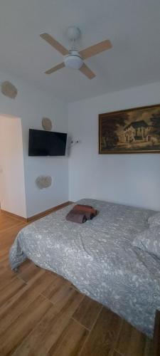 アロナにあるCasa Roberta Tierraのベッドルーム1室(ベッド1台、シーリングファン付)