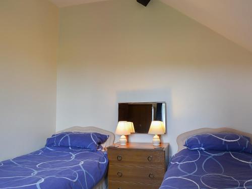 a bedroom with two beds and a dresser with a mirror at The Cider Mill Cottage in Orleton