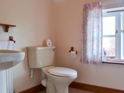a bathroom with a toilet and a sink and a window at The Cider Mill Cottage in Orleton