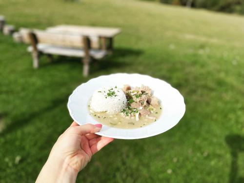 une personne tenant une assiette de nourriture dans un parc dans l'établissement Penzion Pod Dratnikem, à Svratka