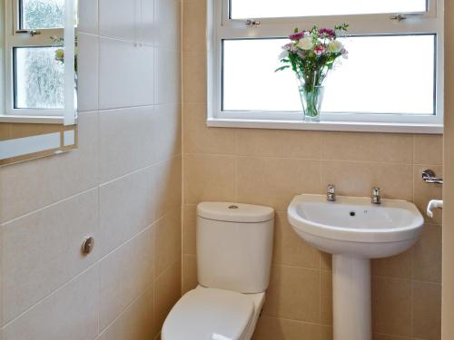 Saint CleerにあるEden - B6526のバスルーム(トイレ、洗面台付)、窓が備わります。