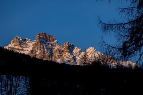 a mountain in the distance with trees in the foreground at Al Capriolo in Vodo Cadore